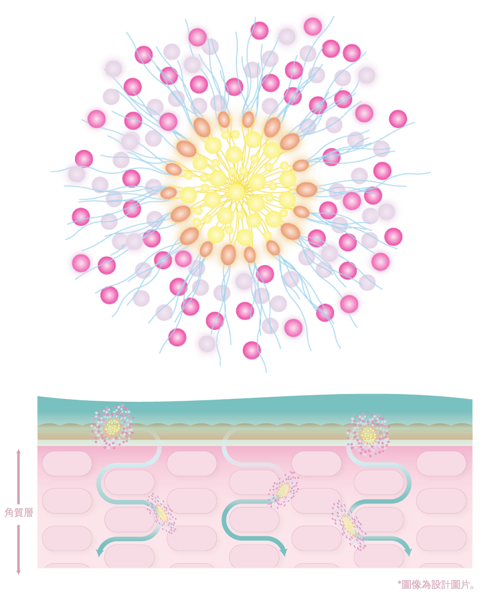 膠束納米粒子技術