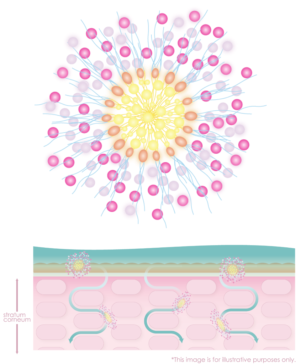 NanocestaET