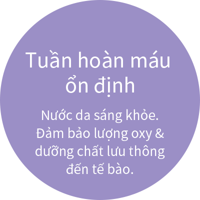 Sự tuần hoàn máu: Nước da đẹp.